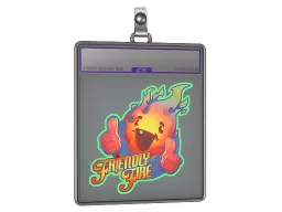 Sticker Slab | Friendly Fire (Holo)