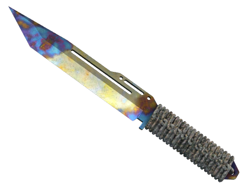 ★ StatTrak™ Paracord Knife | Case Hardened (Field-Tested)