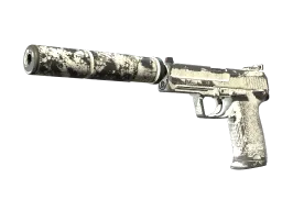 USP-S | Whiteout CS2 skin