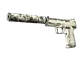 USP-S | Whiteout CS2 skin