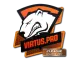 Sticker | Virtus.Pro | Atlanta 2017 CS2 skin