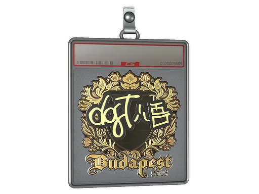 Sticker Slab | dgt (Gold) | Budapest 2025