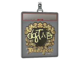 Sticker Slab | dgt (Gold) | Budapest 2025