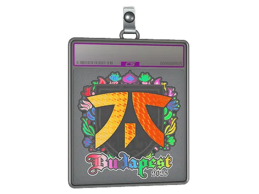 Sticker Slab | fnatic (Holo) | Budapest 2025