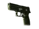 P250 | Iron Clad