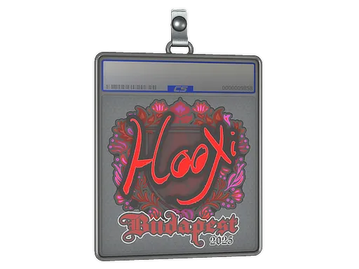 Sticker Slab | HooXi | Budapest 2025