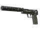 USP-S | Ticket to Hell CS2 skin