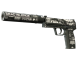USP-S | Ticket to Hell skin