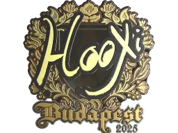 Sticker | HooXi (Gold) | Budapest 2025