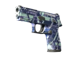 P250 | Digital Architect (Well-Worn)
