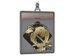 Sticker Slab | Outsiders (Gold) | Rio 2022