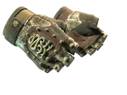 ★ Hydra Gloves | Rattler (Well-Worn)