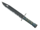 ★ Bayonet | Night (Well-Worn)