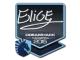 Sticker | EliGE | Cluj-Napoca 2015 CS2 skin