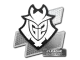 Sticker | G2 Esports | Atlanta 2017 CS2 skin