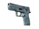 P250 | Forest Night CS2 skin