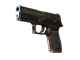 P250 | Cyber Shell (Field-Tested)