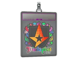 Sticker Slab | Astralis (Holo) | Budapest 2025