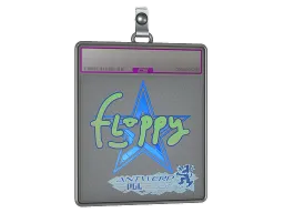 Sticker Slab | floppy (Holo) | Antwerp 2022