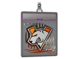 Sticker Slab | Virtus.pro (Foil) | 2020 RMR