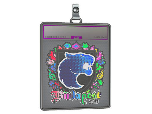 Sticker Slab | FURIA (Holo) | Budapest 2025