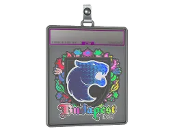 Sticker Slab | FURIA (Holo) | Budapest 2025