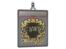 Sticker Slab | FlameZ (Gold) | Budapest 2025