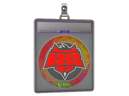 Sticker Slab | HellRaisers (Holo) | Katowice 2019