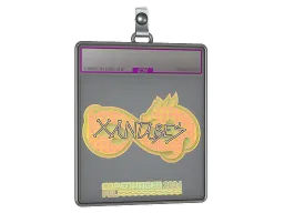 Sticker Slab | XANTARES (Holo) | Copenhagen 2024