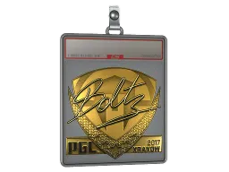 Sticker Slab | boltz (Gold) | Krakow 2017