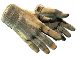 ★ Sport Gloves | Arid CS2 skin