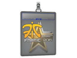 Sticker Slab | Fnatic | Cluj-Napoca 2015