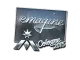 Sticker | emagine | Cologne 2015 CS2 skin