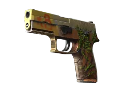 P250 | Inferno (Well-Worn)