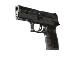 P250 | Dark Filigree (Battle-Scarred)