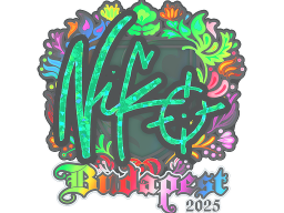 Sticker | NiKo (Holo) | Budapest 2025