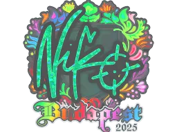 Sticker | NiKo (Holo) | Budapest 2025