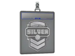Sticker Slab | Silver
