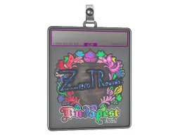 Sticker Slab | ztr (Holo) | Budapest 2025