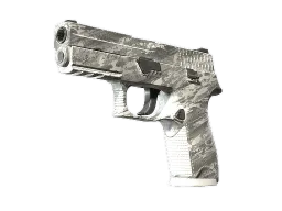 P250 | Sleet CS2 skin