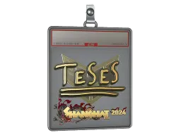 Sticker Slab | TeSeS (Gold) | Shanghai 2024