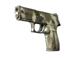 P250 | Bone Mask CS2 skin