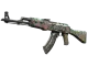 AK-47 | Head Shot CS2 skin
