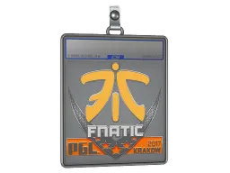 Sticker Slab | Fnatic | Krakow 2017