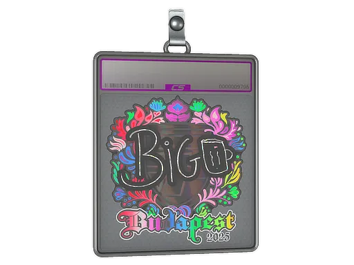Sticker Slab | biguzera (Holo) | Budapest 2025