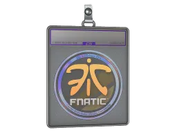 Sticker Slab | Fnatic (Holo) | Cologne 2014