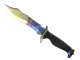 ★ Bowie Knife | Case Hardened CS2 skin
