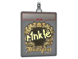 Sticker Slab | r1nkle (Gold) | Budapest 2025