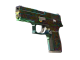 P250 | Visions (Field-Tested)