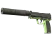 USP-S | Para Green CS2 skin